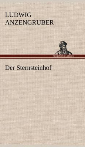 Kniha Der Sternsteinhof Ludwig Anzengruber