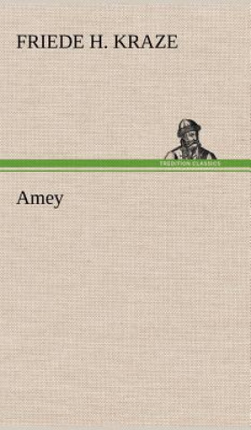 Kniha Amey Friede H. Kraze