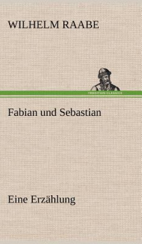 Kniha Fabian Und Sebastian Wilhelm Raabe