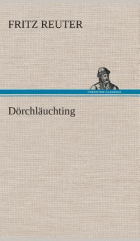 Könyv Doerchlauchting Fritz Reuter