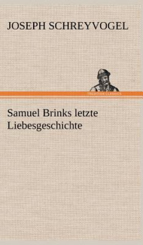 Książka Samuel Brinks Letzte Liebesgeschichte Joseph Schreyvogel