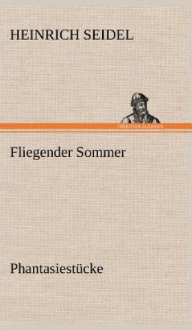 Kniha Fliegender Sommer Heinrich Seidel