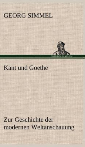 Könyv Kant Und Goethe Georg Simmel