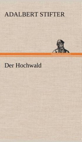 Könyv Der Hochwald Adalbert Stifter