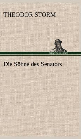 Książka Sohne Des Senators Theodor Storm