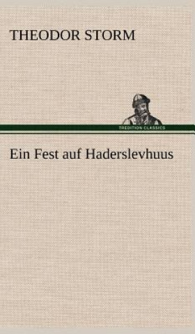 Книга Fest Auf Haderslevhuus Theodor Storm