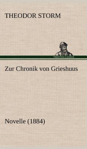 Buch Zur Chronik Von Grieshuus Theodor Storm