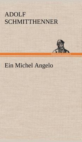 Libro Michel Angelo Adolf Schmitthenner