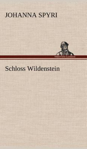 Książka Schloss Wildenstein Johanna Spyri