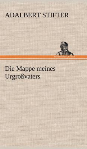 Kniha Die Mappe Meines Urgrossvaters Adalbert Stifter
