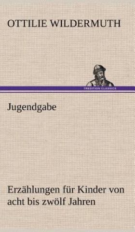 Könyv Jugendgabe Ottilie Wildermuth