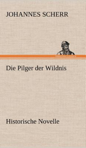 Kniha Die Pilger Der Wildnis Johannes Scherr