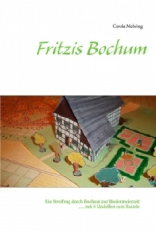 Könyv Fritzis Bochum Carola Mehring