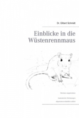 Kniha Einblicke in die Wüstenrennmaus Gilbert Schmidt