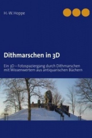Carte Dithmarschen in 3D H.-W. Hoppe