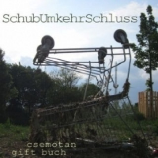 Книга SchubUmkehrSchluss Christine Semotan