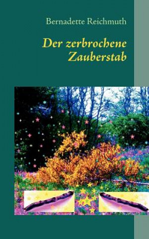 Buch zerbrochene Zauberstab Bernadette Reichmuth