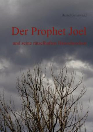 Kniha Prophet Joel Bernd Grunwald