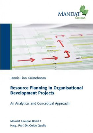 Kniha Resource Planning in Organisational Development Projects Jannis Finn Gr Neboom
