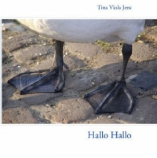 Βιβλίο Hallo Hallo Tina Viola Jens