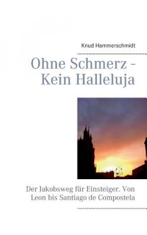 Buch Ohne Schmerz - Kein Halleluja Knud Hammerschmidt