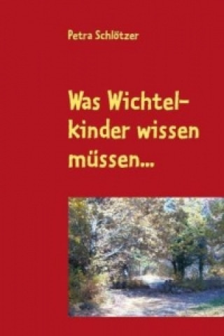 Kniha Mein Schutzengel weiß Bescheid Antje Czotscher