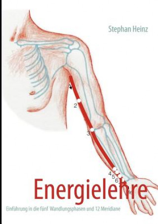 Kniha Energielehre Stephan Heinz