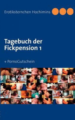 Kniha Tagebuch der Fickpension 1 Erotiksternchen Hochimins