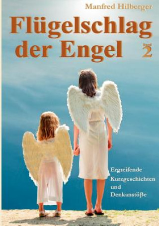 Kniha Flugelschlag der Engel - Band 2 Manfred Hilberger