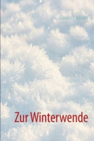Boek Winterwende Claudia J. Schulze
