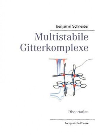 Boek Multistabile Gitterkomplexe Benjamin Schneider