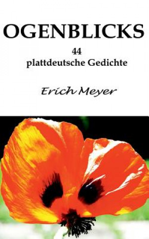Kniha Ogenblicks Erich Meyer