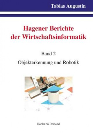 Kniha Hagener Berichte der Wirtschaftsinformatik Tobias Augustin