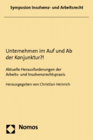Könyv Unternehmen im Auf und Ab der Konjunktur?! Christian Heinrich