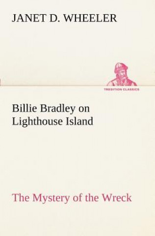 Knjiga Billie Bradley on Lighthouse Island The Mystery of the Wreck Janet D. Wheeler