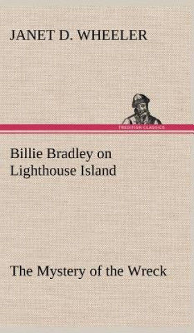 Buch Billie Bradley on Lighthouse Island The Mystery of the Wreck Janet D. Wheeler