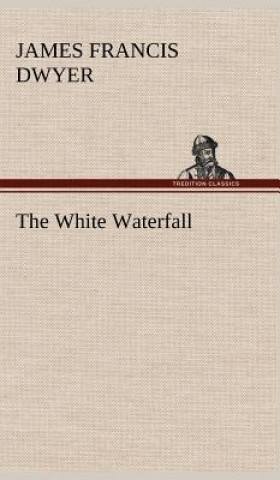 Könyv White Waterfall James Francis Dwyer