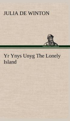 Kniha Yr Ynys Unyg The Lonely Island Julia de Winton