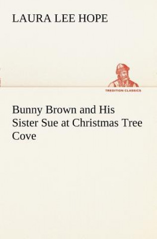 Kniha Bunny Brown and His Sister Sue at Christmas Tree Cove Laura Lee Hope