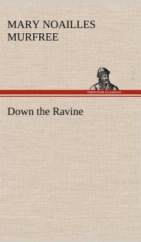 Könyv Down the Ravine Mary Noailles Murfree