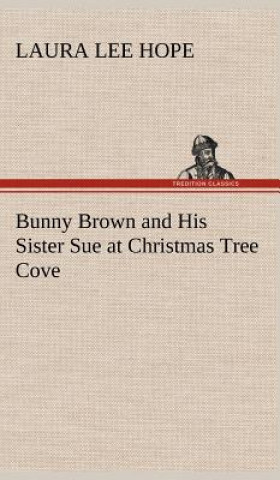 Knjiga Bunny Brown and His Sister Sue at Christmas Tree Cove Laura Lee Hope