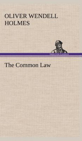 Książka Common Law Oliver Wendell Holmes