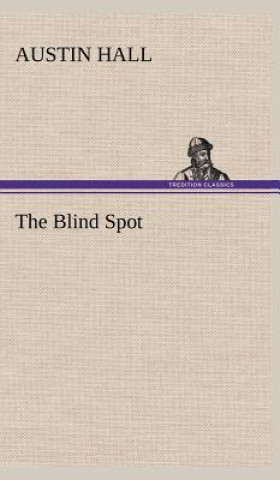 Buch Blind Spot Austin Hall