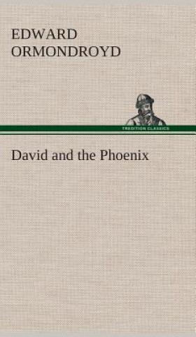 Książka David and the Phoenix Edward Ormondroyd