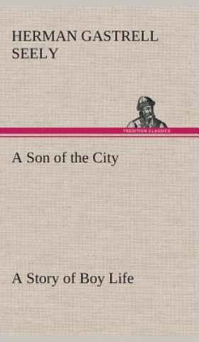 Kniha Son of the City A Story of Boy Life Herman Gastrell Seely