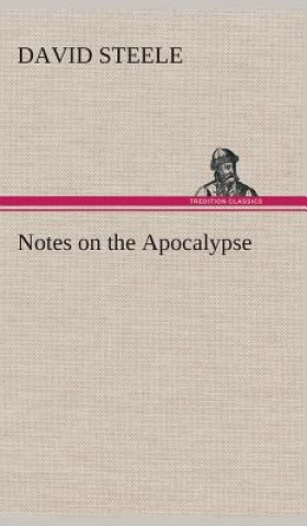 Książka Notes on the Apocalypse David Steele