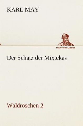Book Schatz der Mixtekas Karl May
