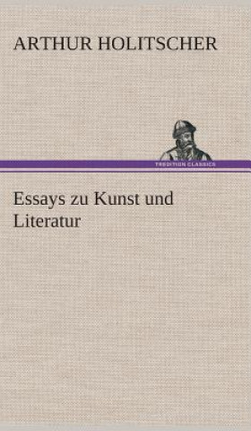 Kniha Essays zu Kunst und Literatur Arthur Holitscher