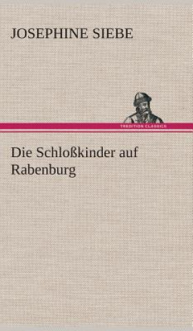 Buch Schlosskinder auf Rabenburg Josephine Siebe