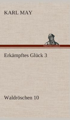Kniha Erkampftes Gluck 3 Karl May